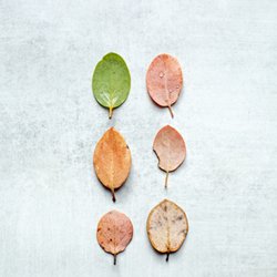 Fitchburg Acupuncture