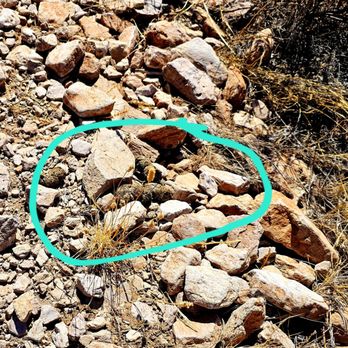 Silly Mountain Park - DON'T DON'T leave DOO DOO *Use the waste station* - Parks Near Me - Apache Junction, Arizona