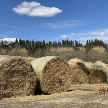 Fort Edmonton Park - Parks Near Me - Edmonton, Alberta