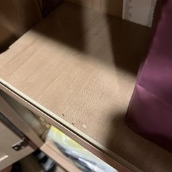 R&R Rv  Rental - Ants in food cupboard