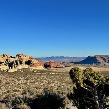 Pink Jeep Tours - Travel Services Near Me - Las Vegas, Nevada Pink Jeep Tours - Travel Services Near Me - Las Vegas, Nevada