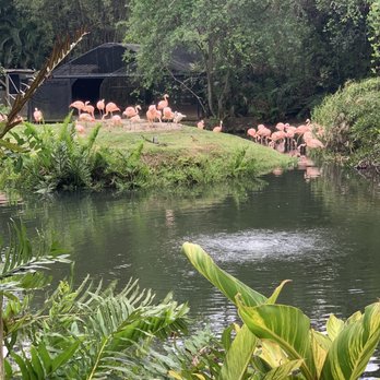 Brevard Zoo - Zoos Near Me - Melbourne, Florida