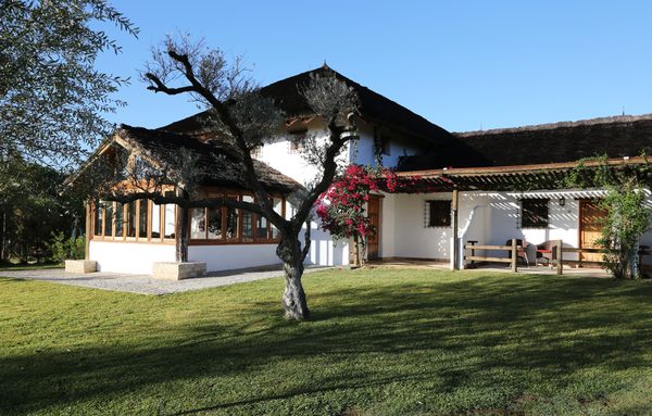 Ardea Purpurea Lodge by null