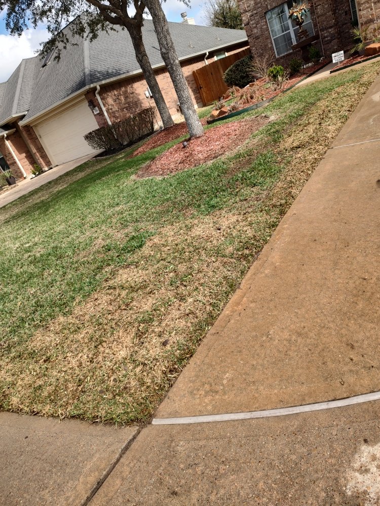 Slide of Cruz Landscape And More