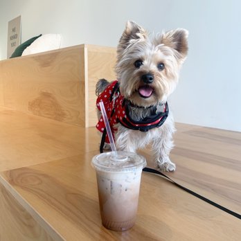 Blueprint Coffee Project - Iced mocha - Coffee & Tea Near Me - Sacramento, California Blueprint Coffee Project - Iced mocha - Coffee & Tea Near Me - Sacramento, California