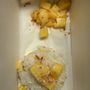 Mango Mango Dessert