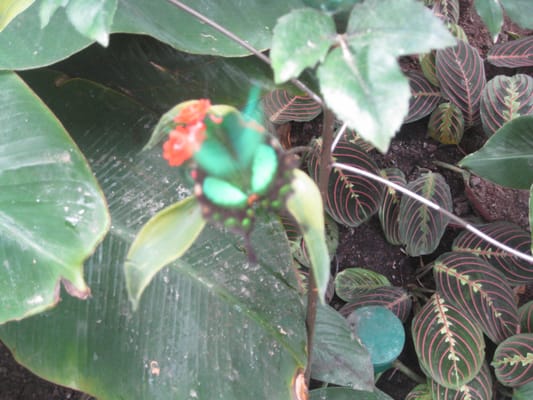 Copenhagen Zoo by null