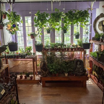 Guzman's Greenhouse - Inside store - Nurseries & Gardening Near Me - Las Cruces, New Mexico