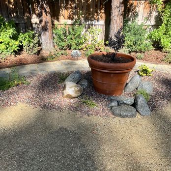 Erick Marroquin Landscaping - a potted plant on a rock - Gardeners Near Me Erick Marroquin Landscaping - a potted plant on a rock - Gardeners Near Me