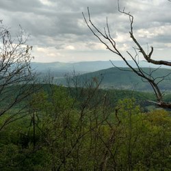 Tibbet Knob Hiking Trail