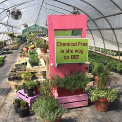 Frankenstein’s Nursery - Get it? Bee? Yay puns!