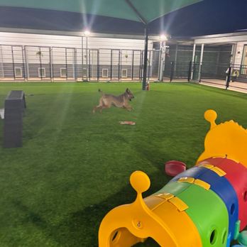 Casa De Pawz - Play area - Pet Boarding Near Me - Adkins, Texas
