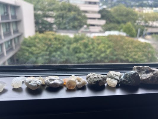 The Hotel Zags Portland by null