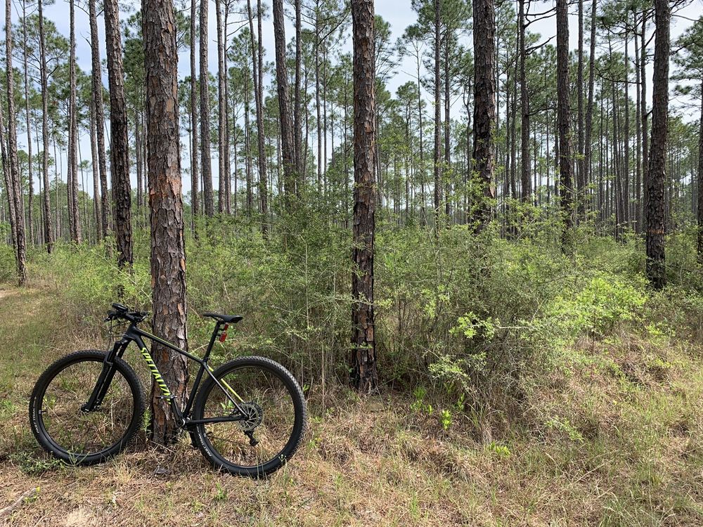 DESOTO NATIONAL FOREST TUXACHANIE TRAIL POW CAMP Updated May 2024