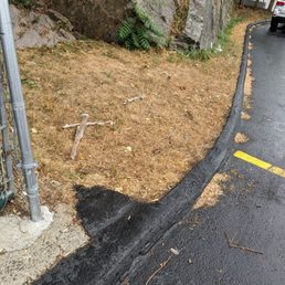 This is where they take your dog to urinate. A small patch of grass filled with poop. This is where they take your dog to urinate. A small patch of grass filled with poop.