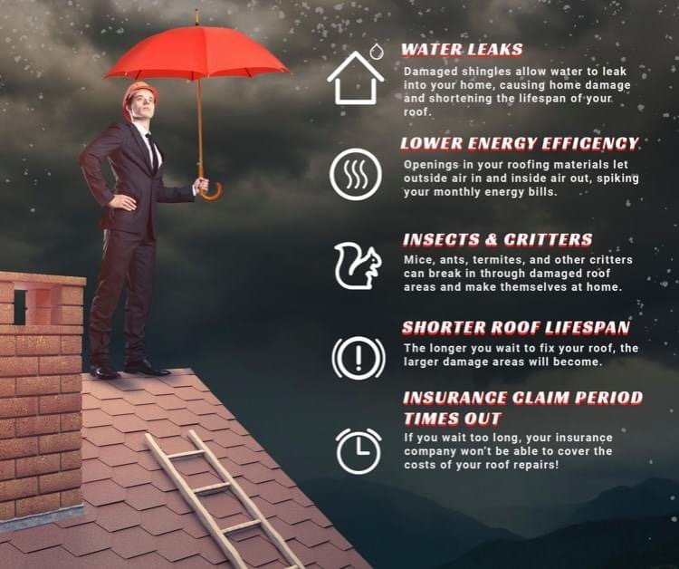 Slide of Best Roof In Town