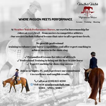 Weatherwatch Performance Horses - Professional and polished - Horseback Riding Near Me - Naples, Florida Weatherwatch Performance Horses - Professional and polished - Horseback Riding Near Me - Naples, Florida