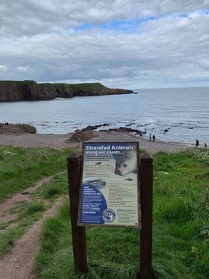 Dunnottar Castle by null