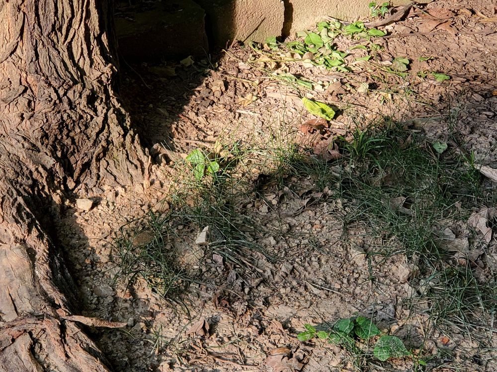 Slide of Pipe Wrench Plumbing, Heating & Cooling