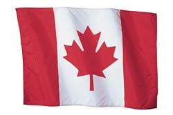 Maple Leaf by null