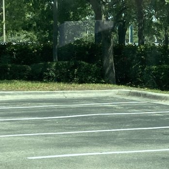 Bob Evans - Looking for a store on top of going to bob Evans and well Don't park here poo poo - American Near Me - Naples, Florida Bob Evans - Looking for a store on top of going to bob Evans and well Don't park here poo poo - American Near Me - Naples, Florida