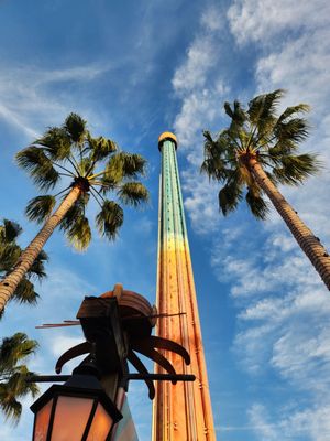 Busch Gardens Tampa Bay by null