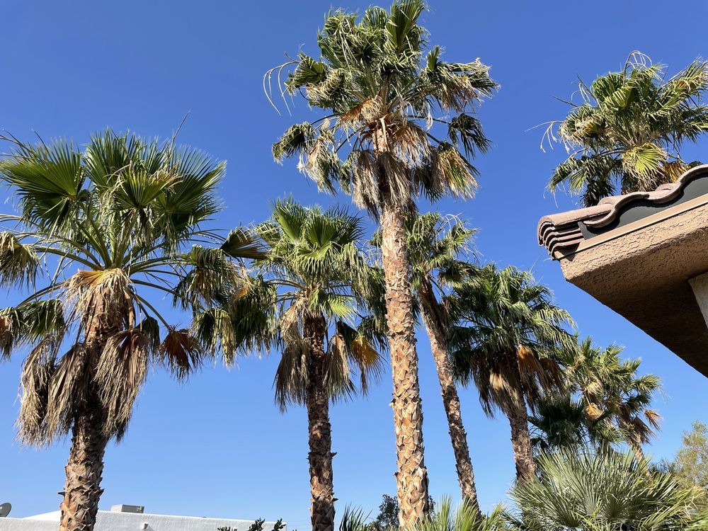 H.Ramirez Landscaping - tree service in Las Vegas, NV