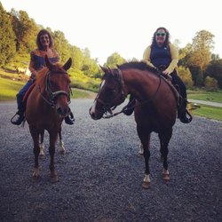 Off the Rail Farm - Ringo and Daisy, two gorgeous a Quarter horses we had ridden at Off the Rail Farm!