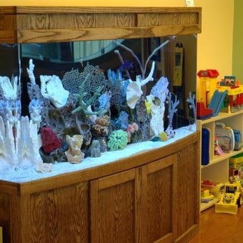 Blue Planet Aquarium Services - Aquarium Services Near Me - Chicago, Illinois Blue Planet Aquarium Services - Aquarium Services Near Me - Chicago, Illinois
