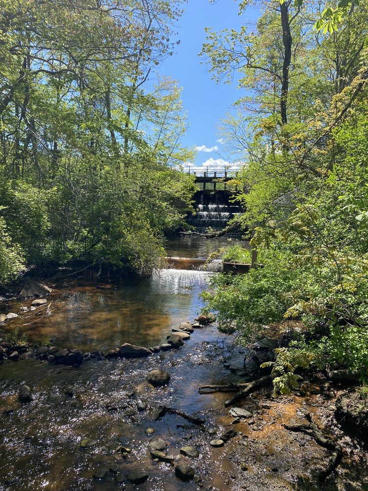 Cold Spring Harbor Fish Hatchery, Cold Spring Harbor Roadtrippers