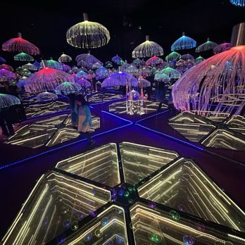 Imaginarium 360 - Festivals Near Me - Milpitas, California Imaginarium 360 - Festivals Near Me - Milpitas, California