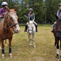 Triple Moon Equestrian
