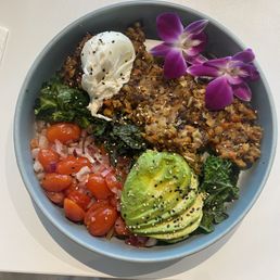 Fit Bowl