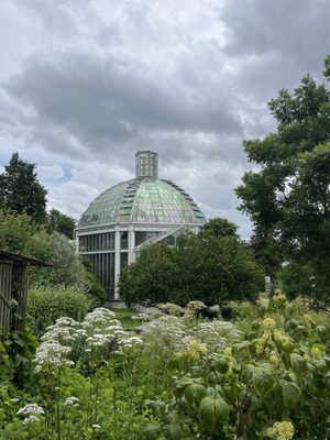 Conservatoire et Jardin botaniques de Genève by null