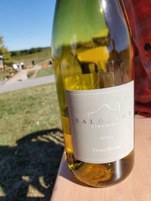 Balducci Vineyards by null