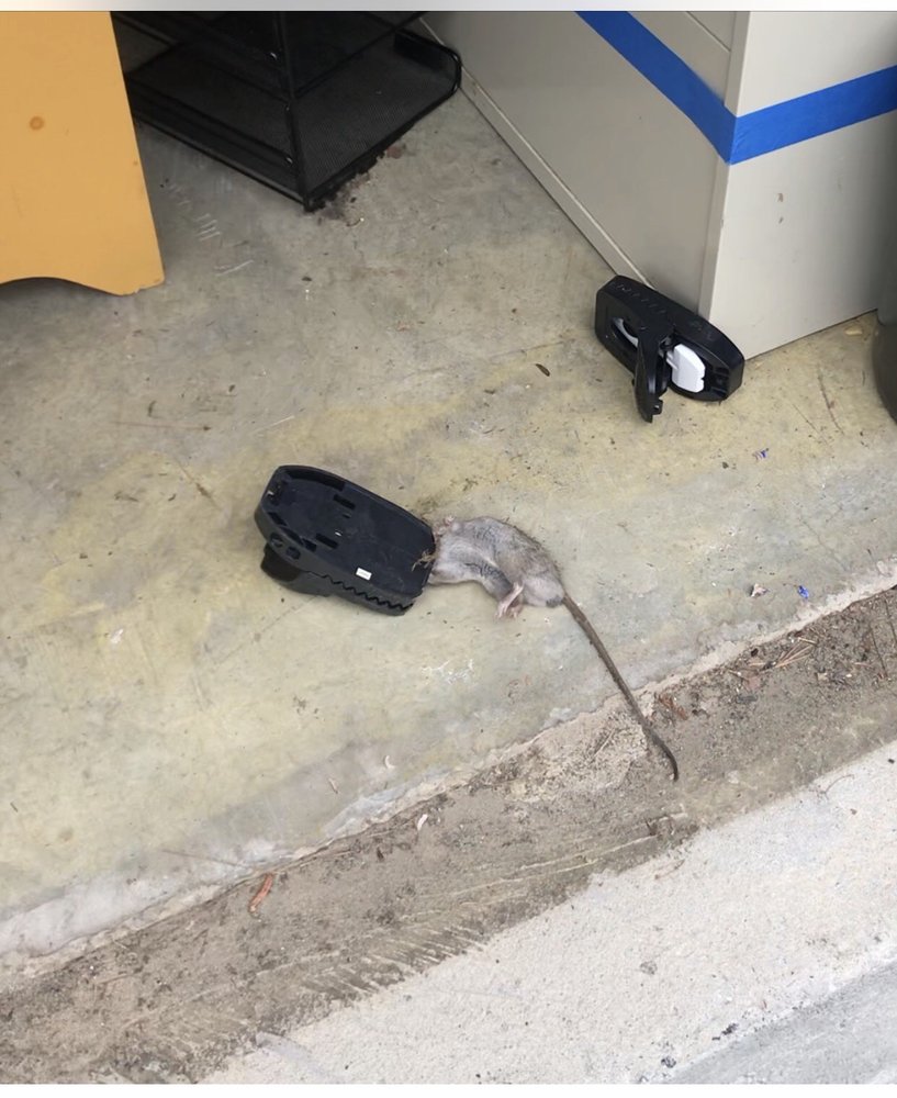 COMPASS SELF STORAGE Updated June 2024 4365 Commerce Dr, Buford