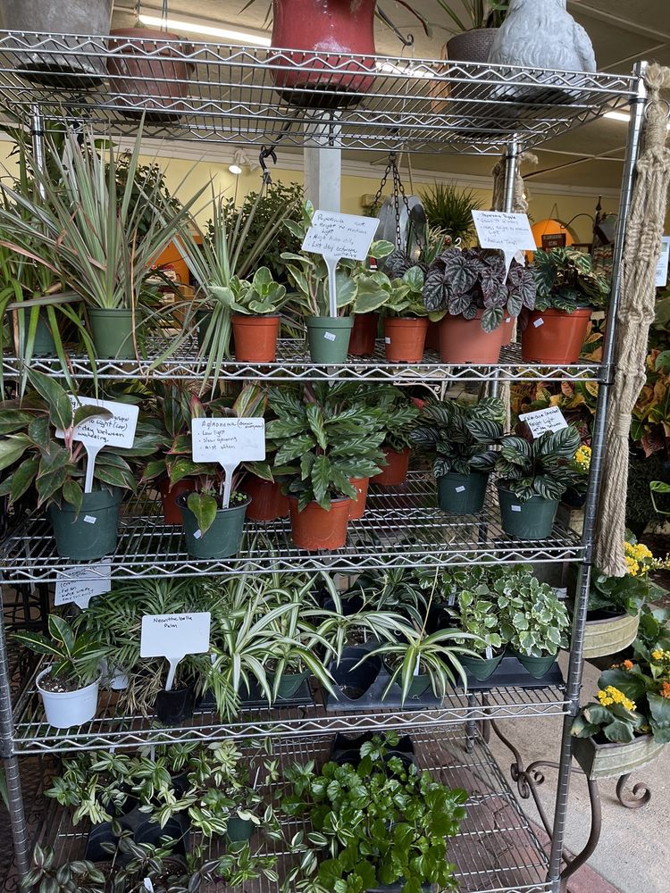 BANNER NURSERY & GARDEN CENTER Updated August 2024 34 Photos & 24