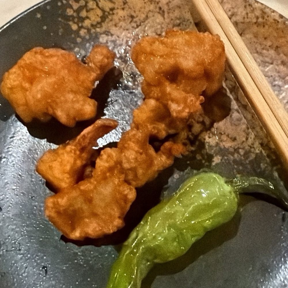 Fujiya - Karaage chicken could have been crispier but was seasoned very well! It came with kewpie mayo dusted with shichimi spice. - Japanese Near Me - Elk Grove, California
