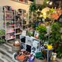 Photo of Read & Rooted