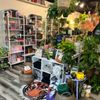 Read & Rooted gift card