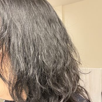 In Style Salon - A close up of my damaged hair. - Hair Salons Near Me - Rockville, Maryland In Style Salon - A close up of my damaged hair. - Hair Salons Near Me - Rockville, Maryland
