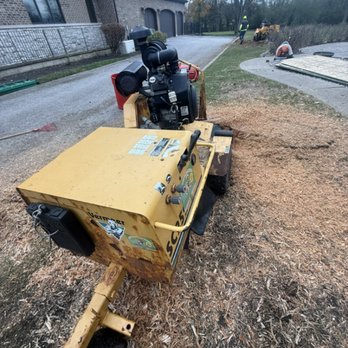 Neighbor Tree Service - Stump Removal - Tree Services Near Me - Palatine, Illinois