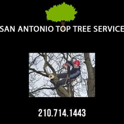 San Antonio Top Tree Service - Tree Trimming Arborist