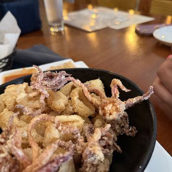 Tablao Wine Bar & Restaurant - Wine Bars Near Me - Norwalk, Connecticut Tablao Wine Bar & Restaurant - Wine Bars Near Me - Norwalk, Connecticut