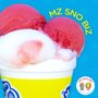 Photo of Mz Sno Biz