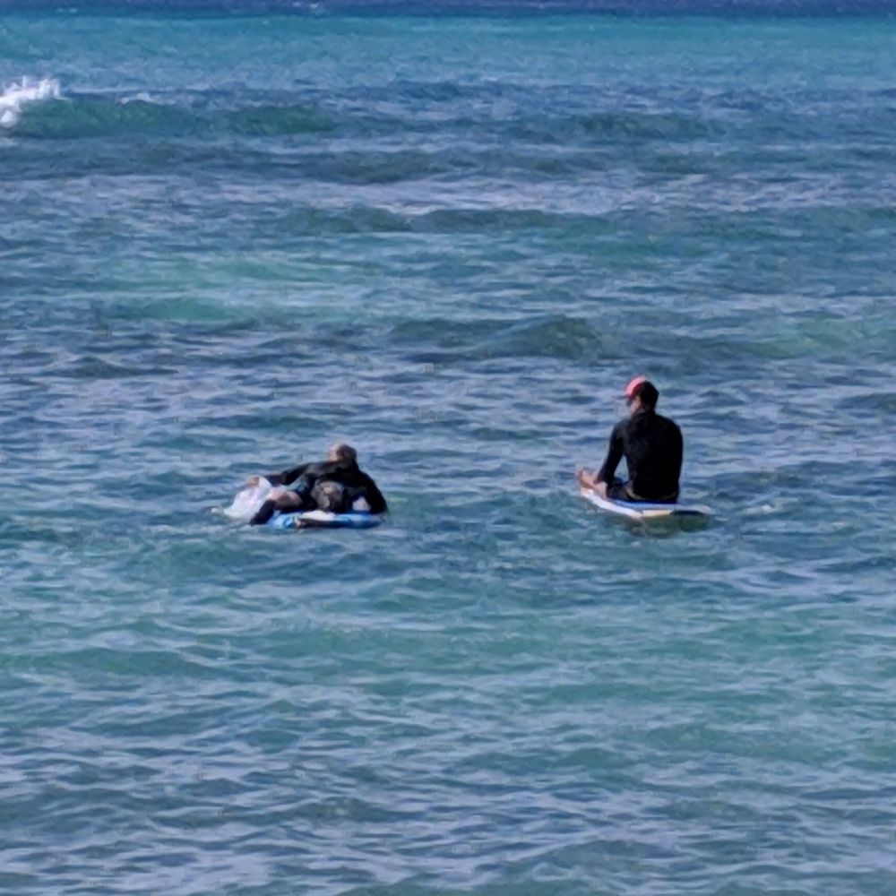 Surf Caddy - Surf Schools Near Me Surf Caddy - Surf Schools Near Me