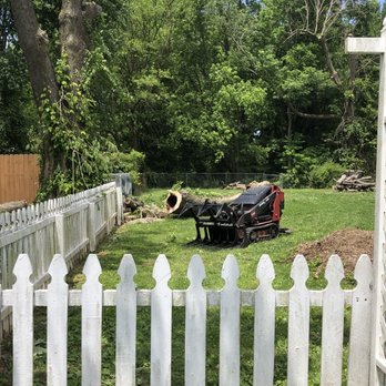 L & S Tree Service - Tree Services Near Me - West Point, Kentucky L & S Tree Service - Tree Services Near Me - West Point, Kentucky