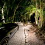Photo of Get Lit Landscape Lighting