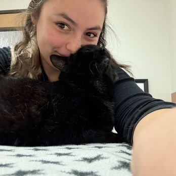 Cedar Mill Veterinary Hospital - Veterinarians Near Me - Portland, Oregon Cedar Mill Veterinary Hospital - Veterinarians Near Me - Portland, Oregon