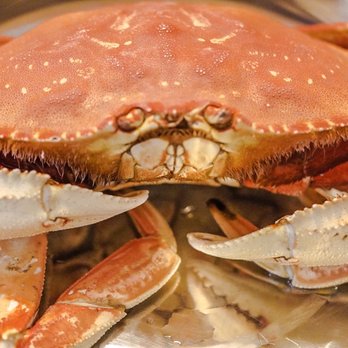 Costco Wholesale - Dungeness Crab - Wholesale Stores Near Me - San Antonio, Texas Costco Wholesale - Dungeness Crab - Wholesale Stores Near Me - San Antonio, Texas